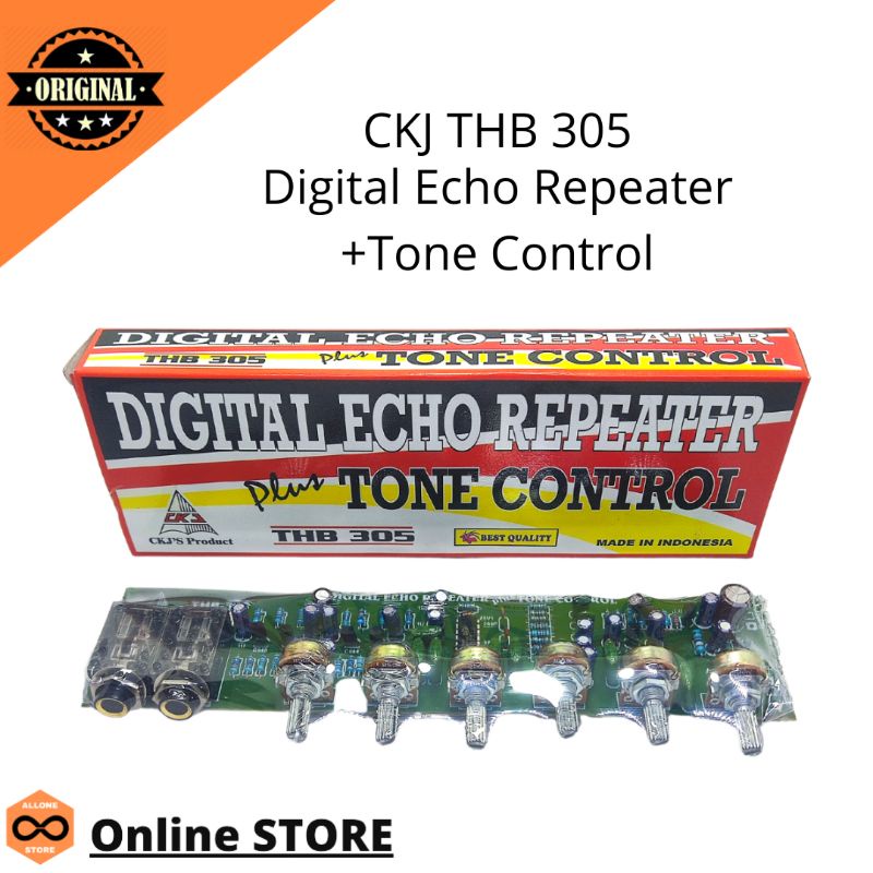 Kit THB305 Digital Echo Repeater Tone Control 2 Mic