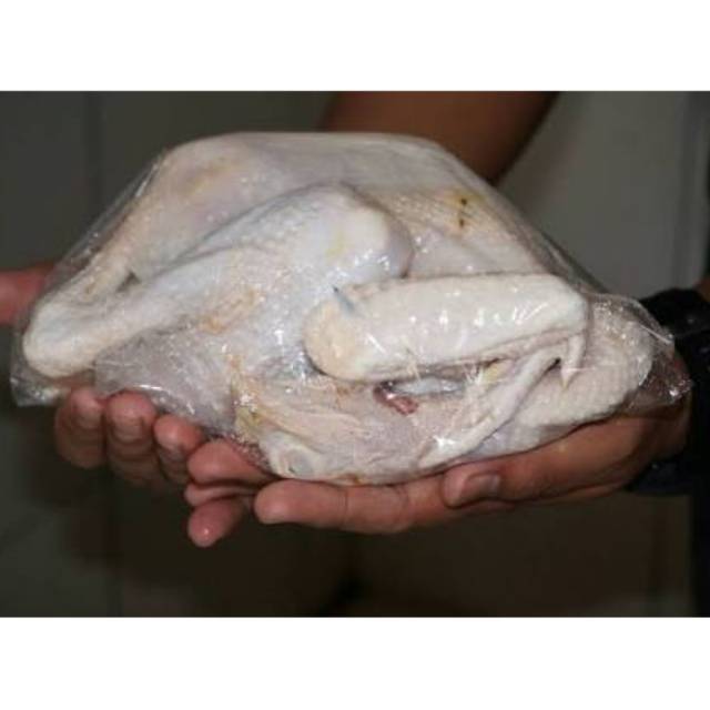 

Daging Ayam Kampung