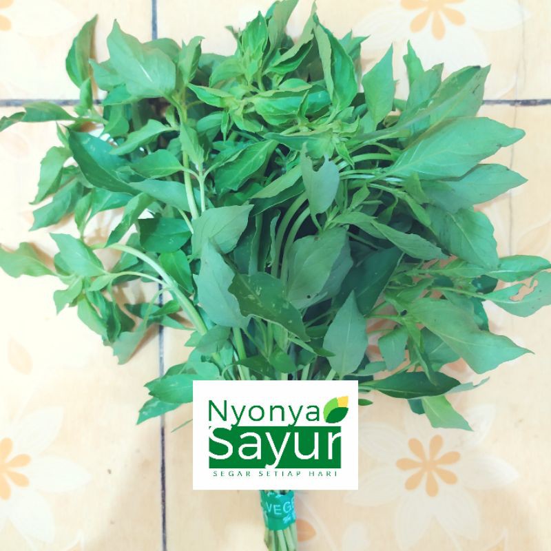 

Daun Kemangi Per Ikat
