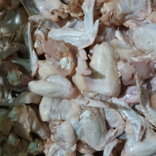 

sayap daging ayam fress