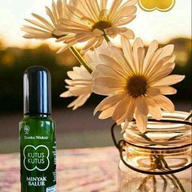 Minyak kutus kutus ORIGINAL