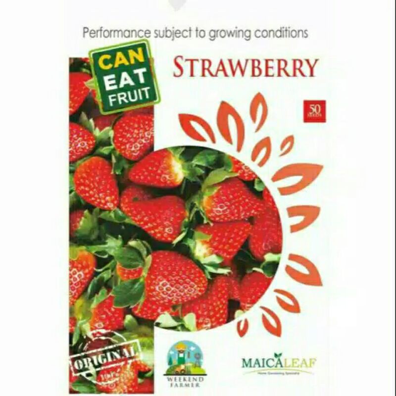 

sTRAWBERRyisi 50biji