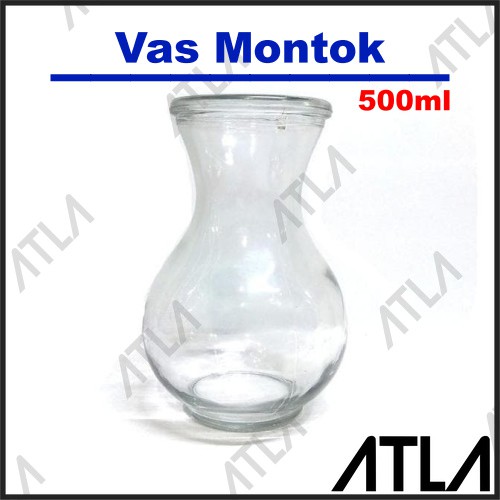 Vas  Bunga Kaca  Bulat  Montok Terrarium Pot Bening Hias   Vas  Bunga Kaca  Bulat  Montok Terrarium Pot Bening Hias