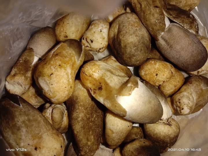 Kemeja Batik Pria Lengan Panjang Exclusive Kemeja Batik Cowok Kerja Kantoran Batik Stretch 1000