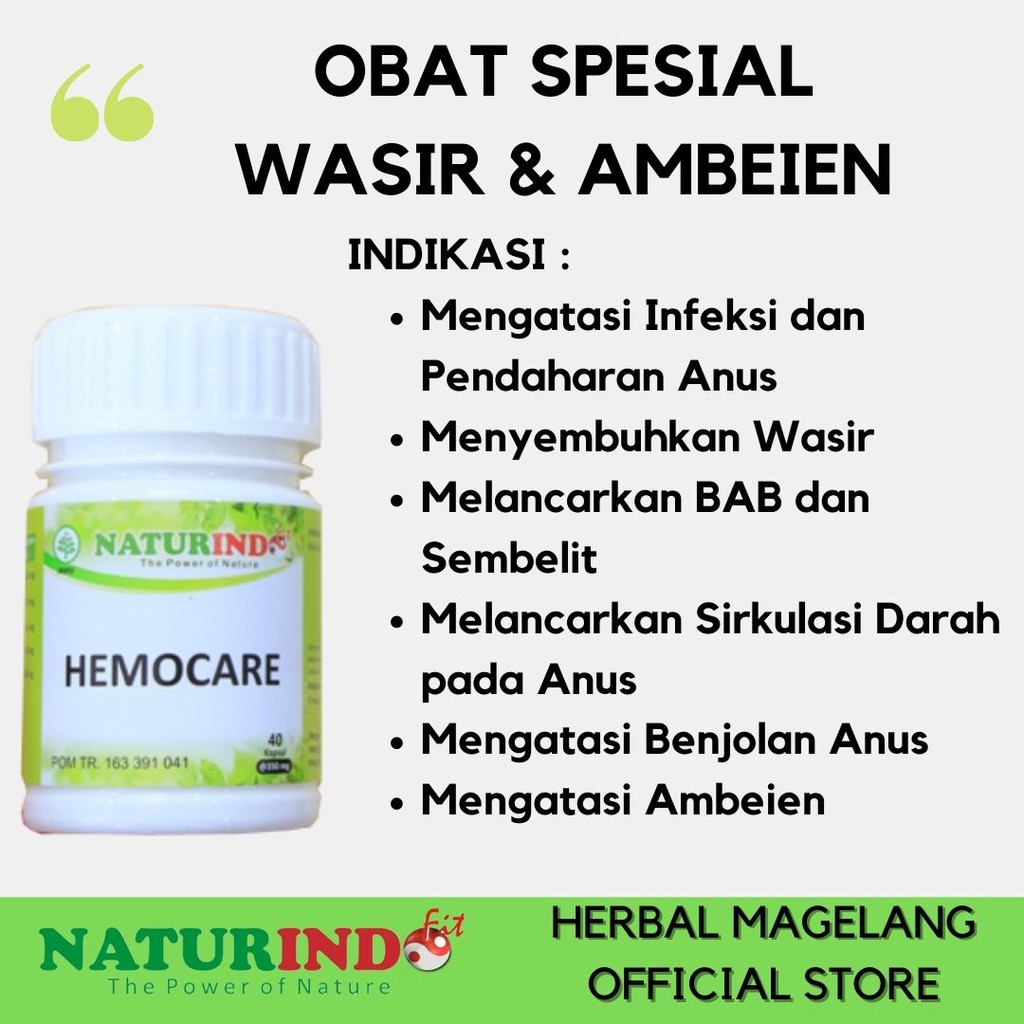 Obat Herbal Wasir Daun Ungu Ambeien Obat Ambeyen Paling Ampuh Obat BAB Berdarah Ambien Hemoroid-4