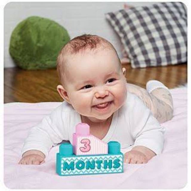 Fisher Price Milestone Mega bloks blocks bricks baby first year flash card photo mainan balok bayi