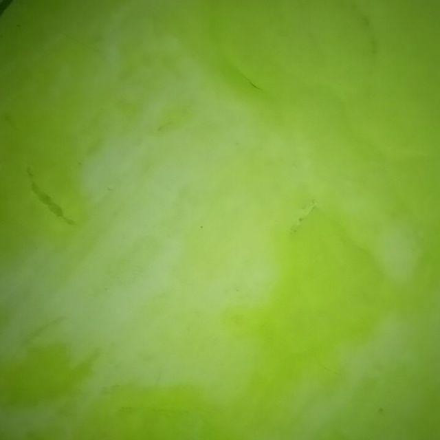 Soffell Lotion Penolak Nyamuk 12x6gr