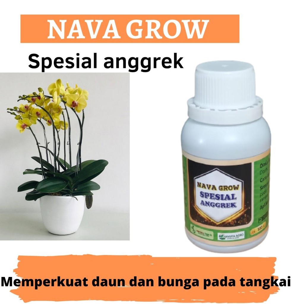 Pupuk Anggrek Agar Subur, Pupuk Anggrek Cepat Berbunga