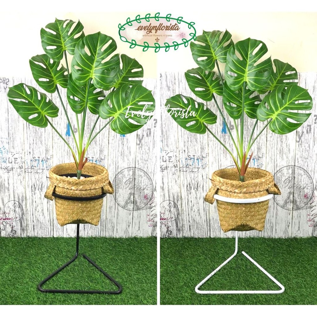 

PAKET Pohon Daun Monstera X7 Latex Artificial Cover Keranjang Purun Standing Besi Segitiga Dekorasi
