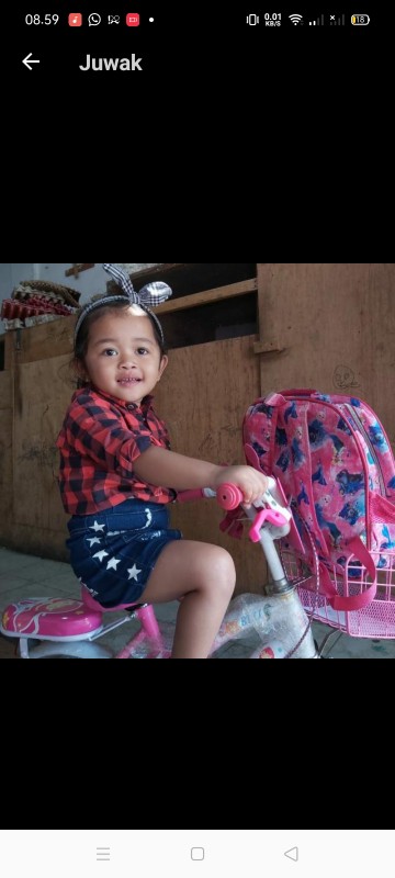 Kemejabatikmotifdaunlembayung