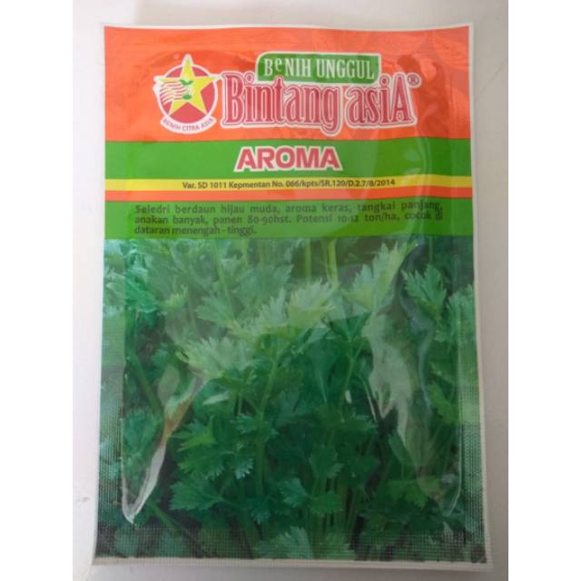 Bibit Benih Seledri Aroma 20 Gram