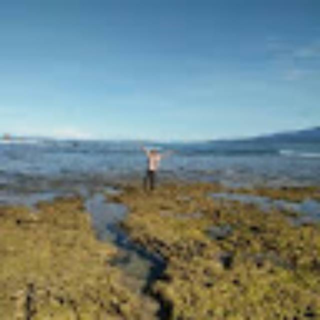 irwan_kusnadi