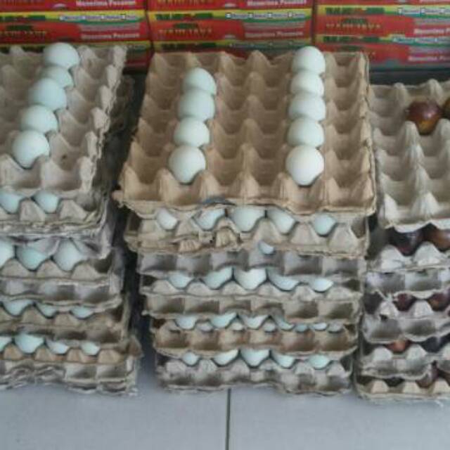 

Telor Asin bakar dan rebus