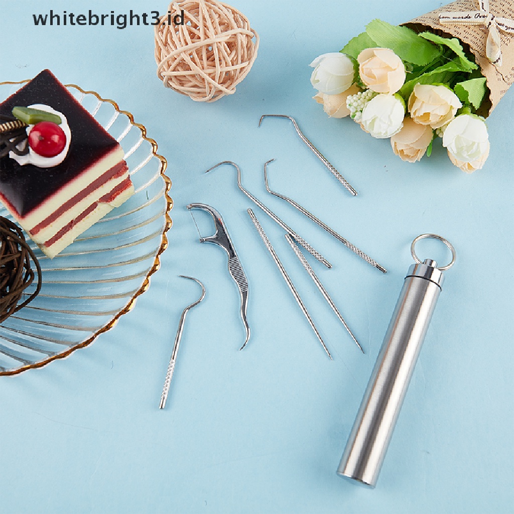 (whitebright3.id) 8pcs / Set Tusuk Gigi Stainless Steel Portable Reusable Untuk Outdoor / Piknik