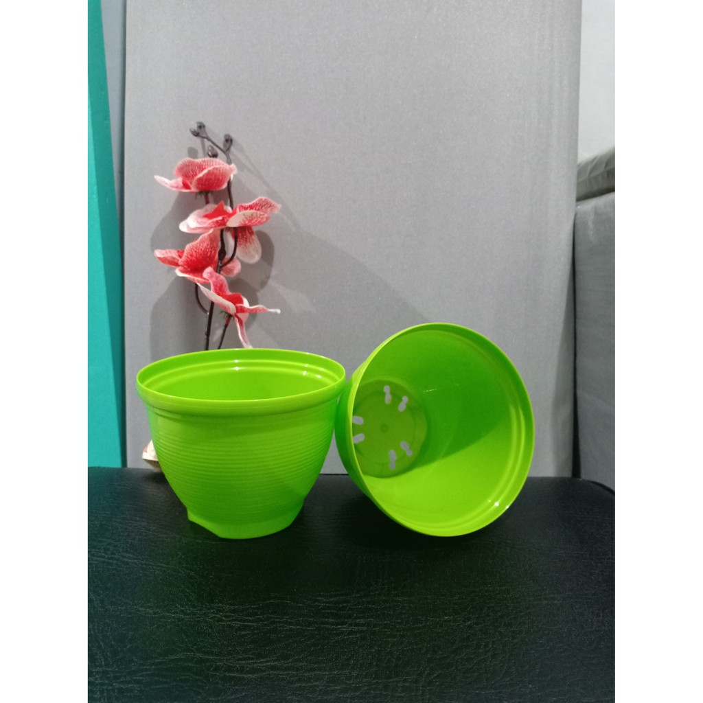 Pot Lebah 12 cm Hijau