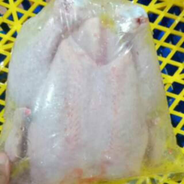 

Ayam beku karkas