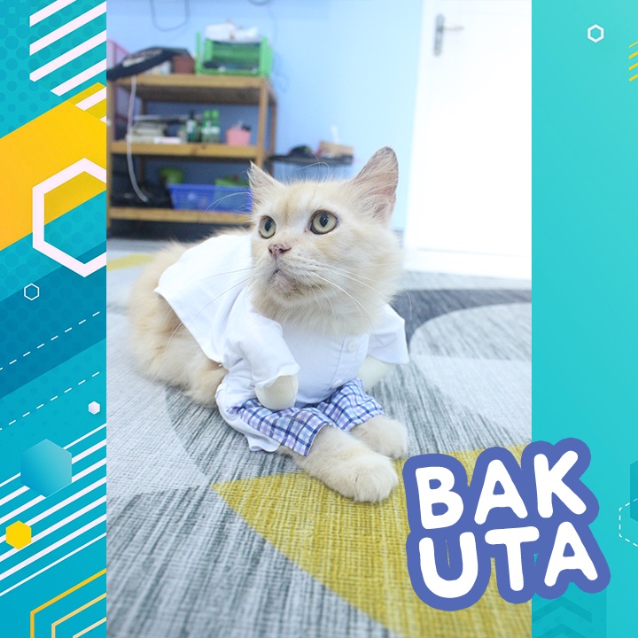 Kostum baju koko sarung kotak-kotak biru muda + Peci / baju koko kucing lebaran Terbaru size S-XL