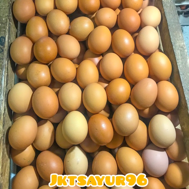 

TELUR AYAM NEGERI
