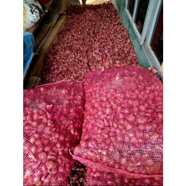 

bawang merah