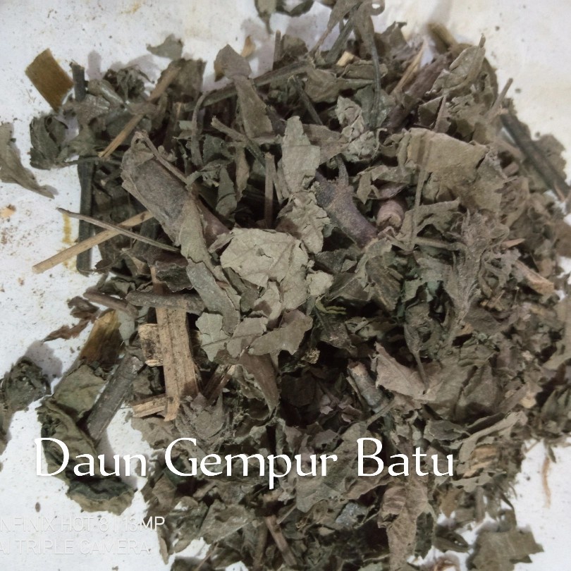 

Daun Gempur Batu Kering / Tutup Bumi 500 gram