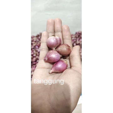 

bawang merah