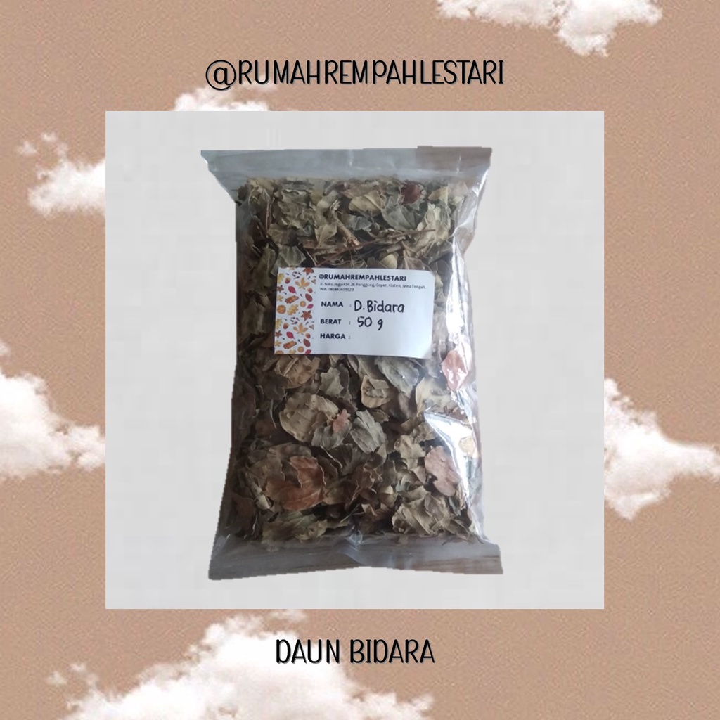 DAUN BIDARA KERING SIMPLISIA