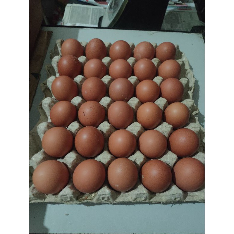 

TELUR AYAM NEGERI FRESH 1 KG