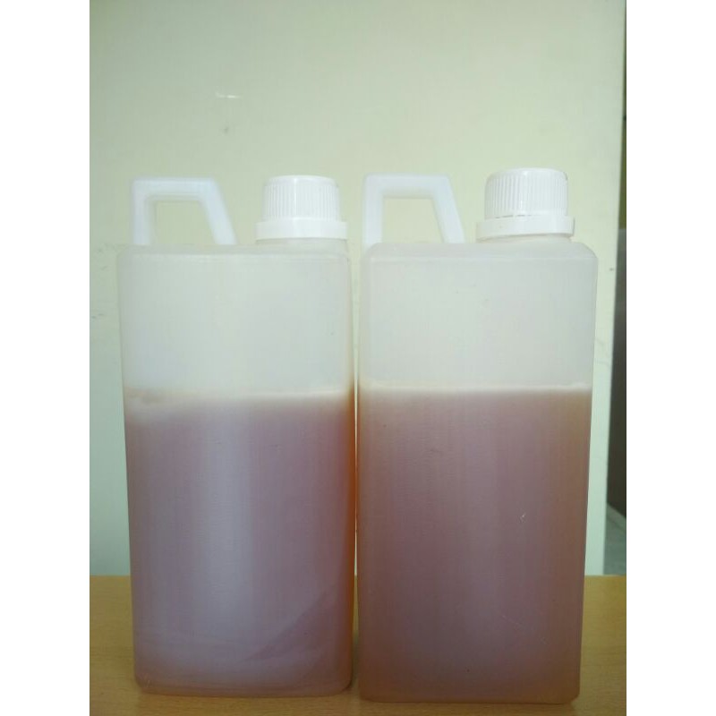 

Madu Randu 1kg asli