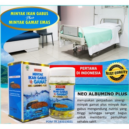 NEO ALBUMINO PLUS GAMAT EMAS GOLD 60 KAPSUL MINYAK IKAN GABUS BPOM