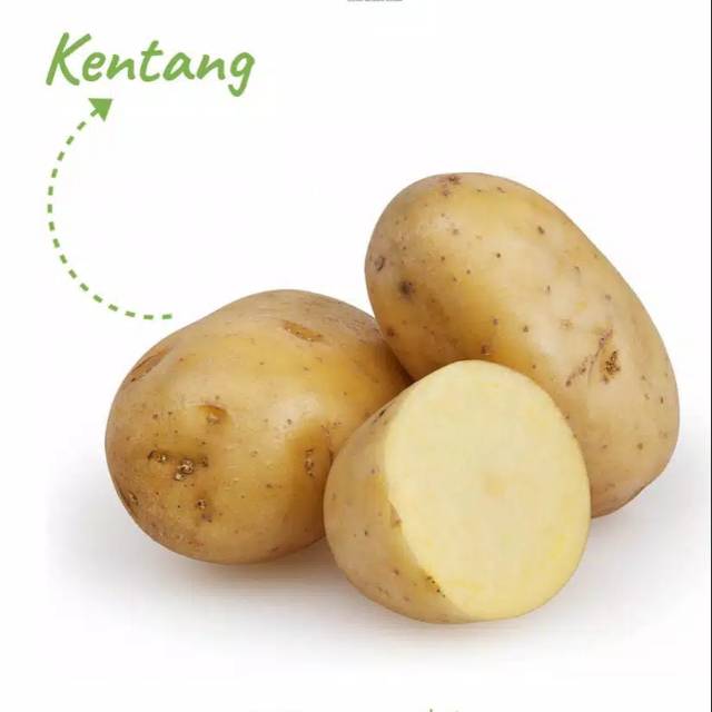 Kentang Ukuran Besar / Berat 500 gram