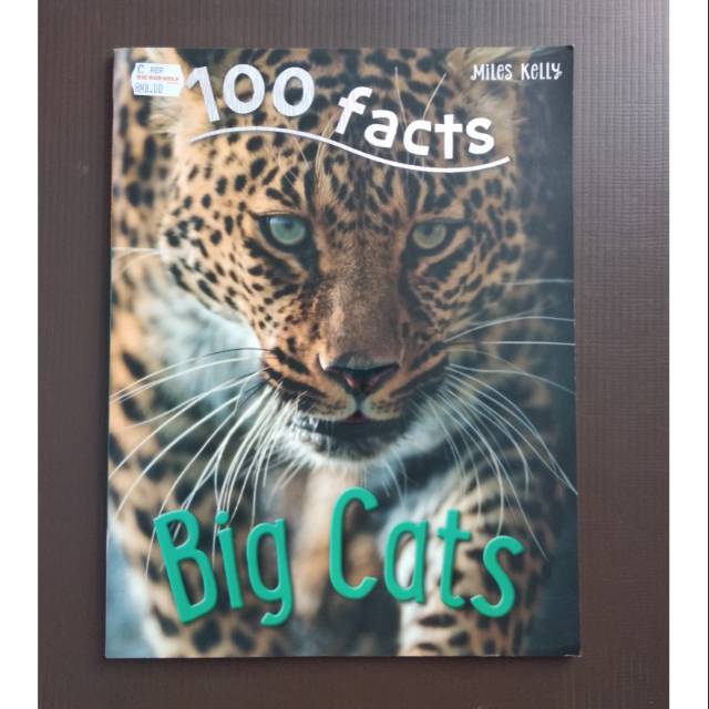 

100 facts : Big Cat (Miles Kelly)