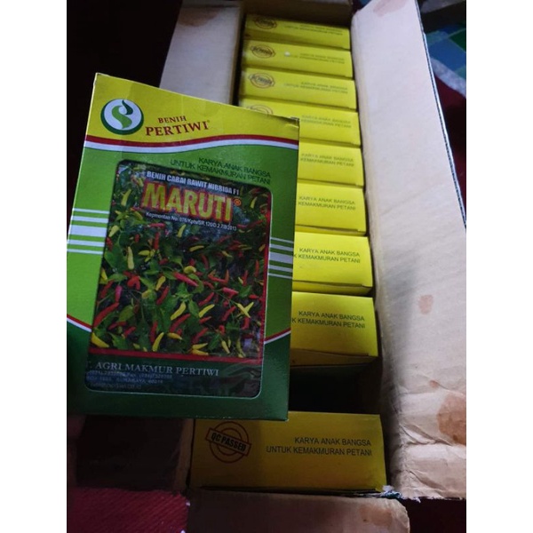benih cabe maruti