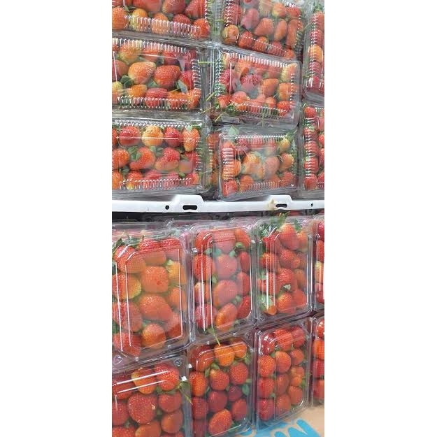 

strober buat segar disaran kan order di pagi hari...