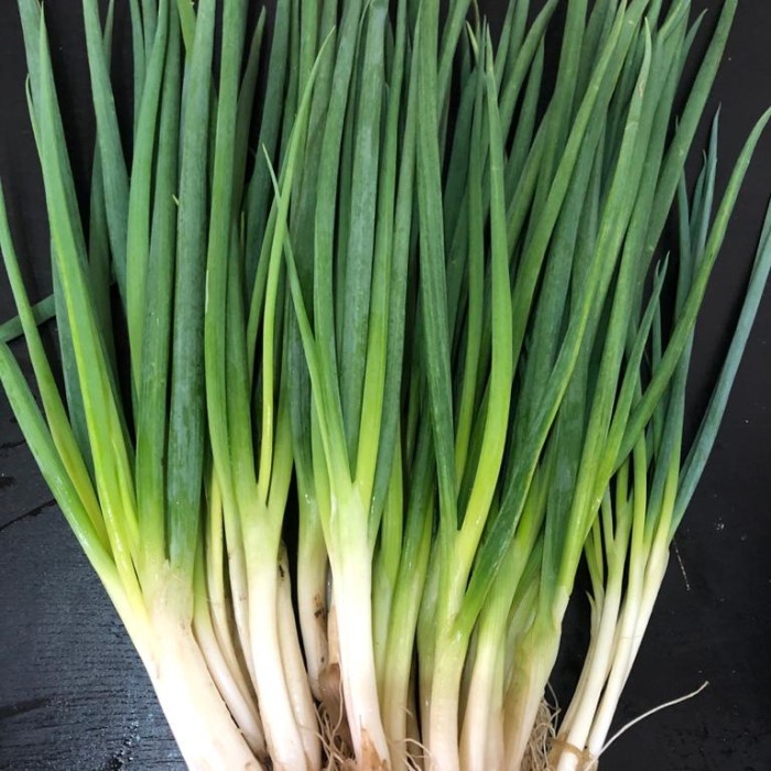 

Fe08774g Daun Bawang Fresh F3E1F111