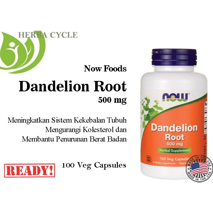 Now Food Dandelion Root 500 mg 100 Veg Cap Now Dandelion Root Ori USA