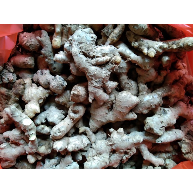 

JaheEmpritTua1kg