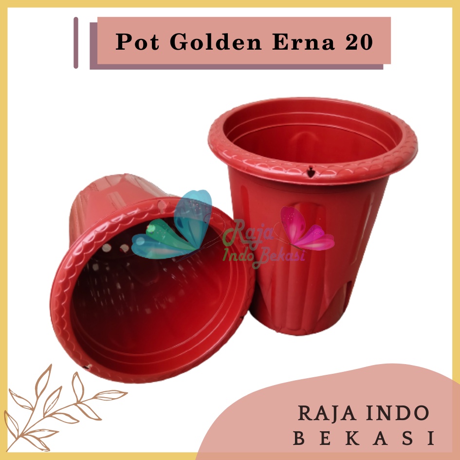 Rajaindobekasi Pot Golden Erna 20 Merah Bata Coklat Terracota Terracotta Garden Of Love Mirip Pot Yogap 18 19 25 Murah  Putih Coklat Merah Bata Bening Transparan Pot Yogap 18 19 25 Pot Yogap Murah Pot Bunga Tinggi Pirus Tegak Bagus Tebal