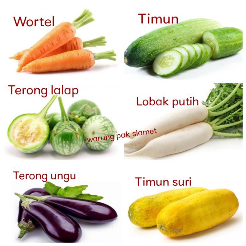 

Wortel / Terong lalapan bulet / Terong ungu / Timun / Lobak putih / Timun suri Sayuran segar