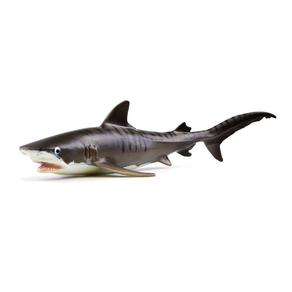 Miniatur Ikan Hiu Macan Tiger Shark Safari Ltd 19 Cm Shopee Indonesia