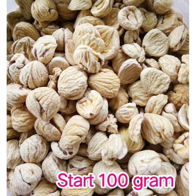 

Lakci Kacang berangan Kastanye LARGE Chestnut mulai 100gr