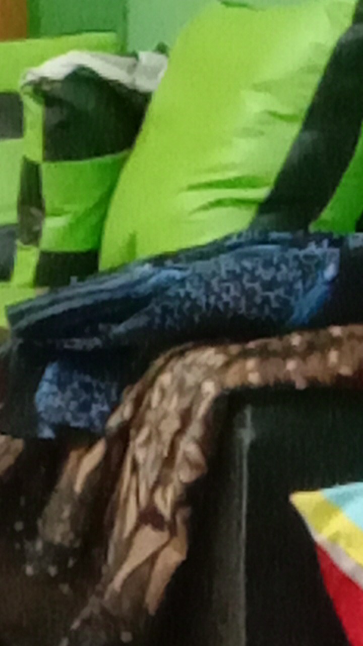 Manuk Peksi Biru Kemeja Batik Pria Katun Primisima Full Furing