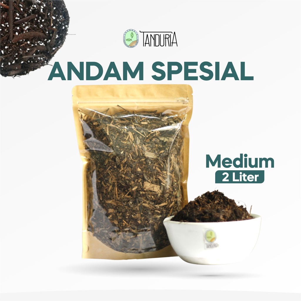 ANDAM SPECIAL 2 LITTER