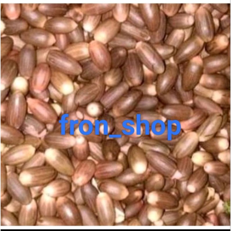 

BIJI MELINJO ASLI | BIJI MELINJO MATANG 100%ORIGINAL