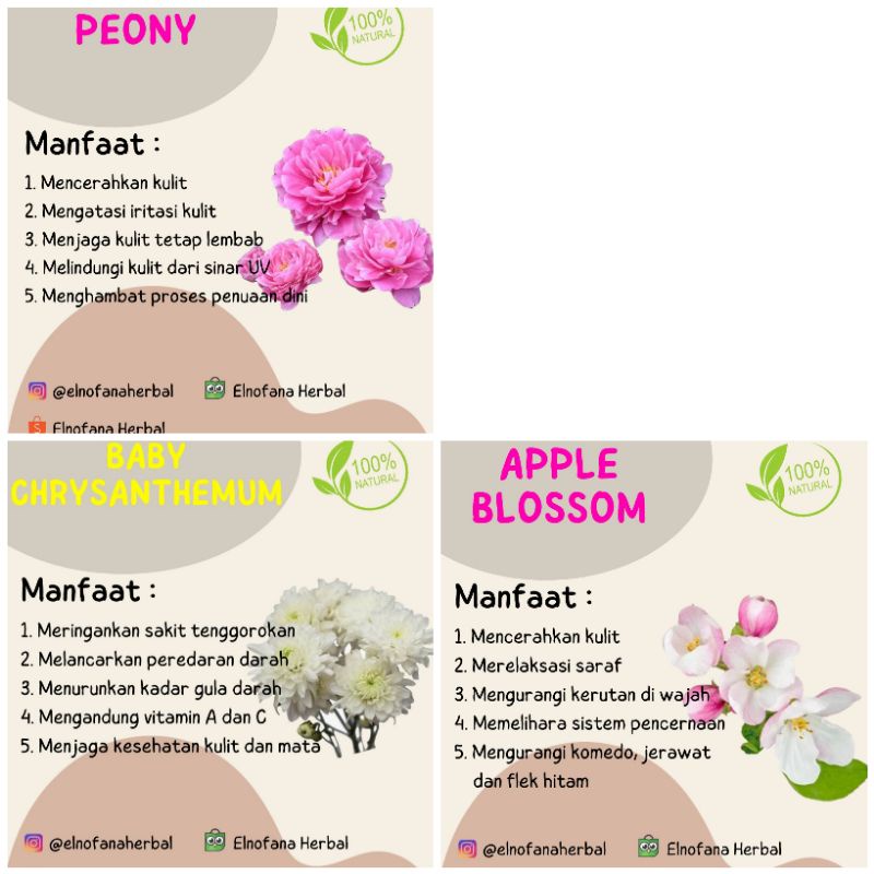 Teh Bunga/Flower Tea/Flower Tea Sample Pack