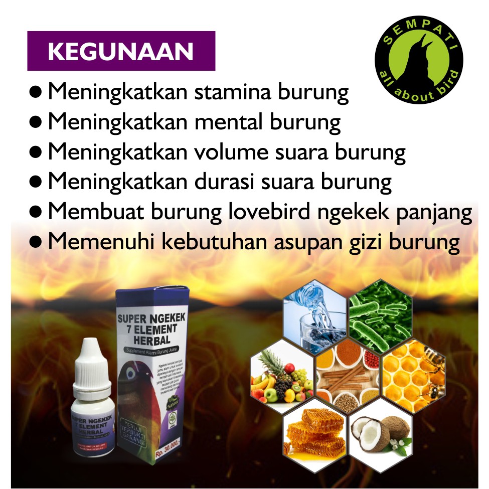 Super Ngekek Sempati Vitamin Jamu Alami Burung Lovebird Juara Lomba Suara Ngekek Gacor Konslet Shopee Indonesia