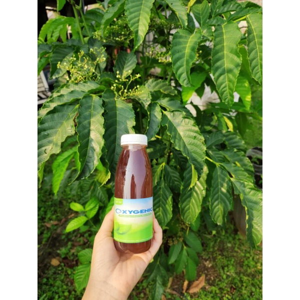 psb oxygenic 350ml termurah pupuk pertanian pupuk cair organik