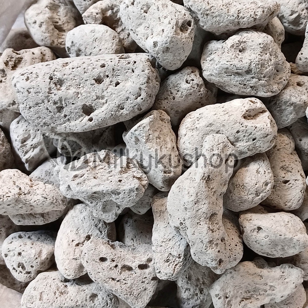 BATU APUNG BESAR - PUMICE STONE AQUARIUM FILTER