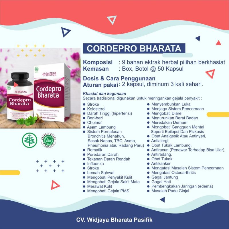 Obat Herbal Sesak Nafas/Obat Paru Paru/Obat Batuk Berdarah/Obat Asma/Obat Asam Lambung Cordepro-1