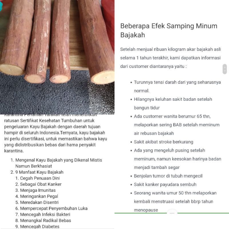 kayu bajakah asli kalimantan