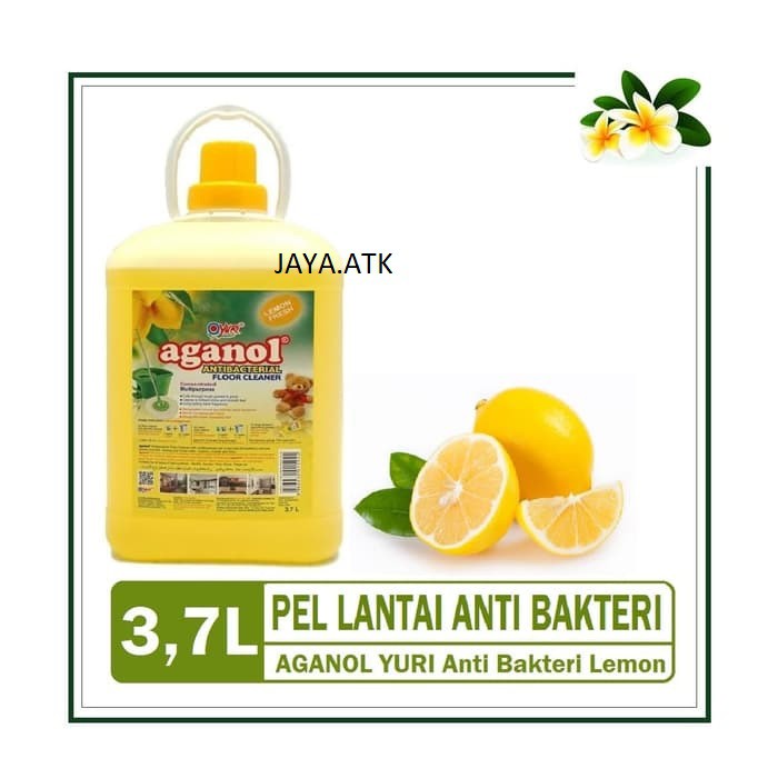 KARBOL LANTAI AGANOL JERIGEN 3,7 LITER PEMBERSIH LANTAI AGANOL 3.7 LITER ANTI BAKTERI FLOOR CLEANER